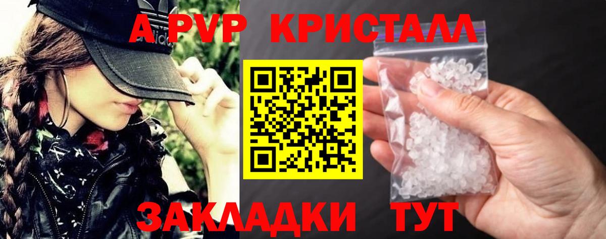 Alfa_PVP СК Вятские Поляны