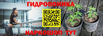 эйфоретик Берёзовский