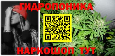 эйфоретик Берёзовский