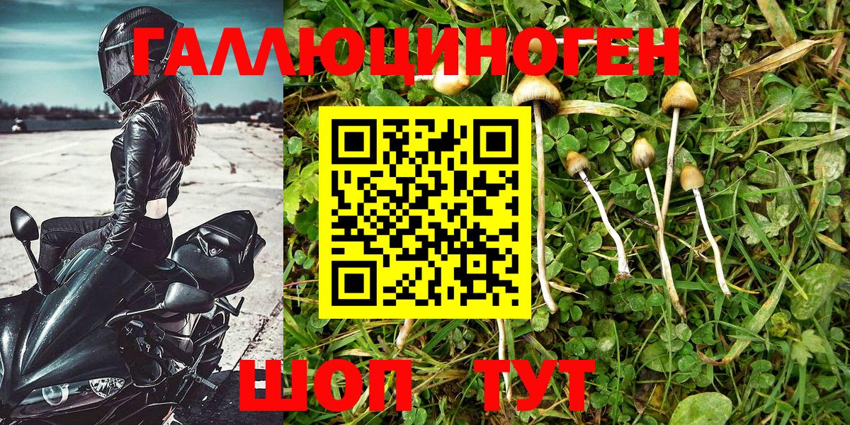 Галлюциногенные грибы MAGIC MUSHROOMS  Вход с VPN  Вятские Поляны 