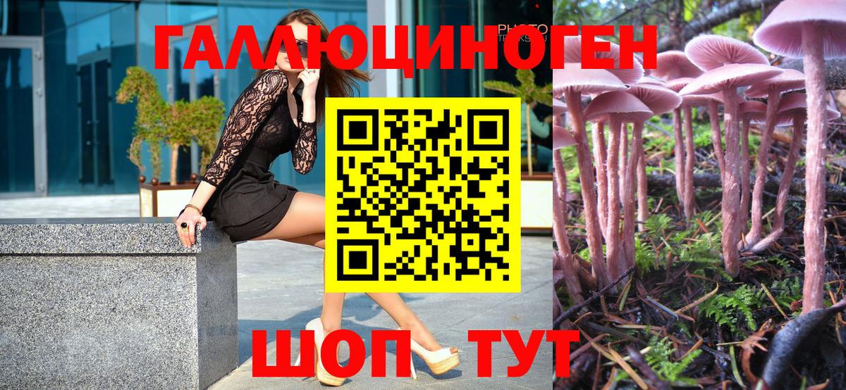 Псилоцибиновые грибы ЛСД Вятские Поляны